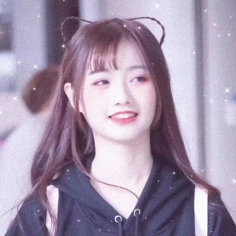 年度鸟事